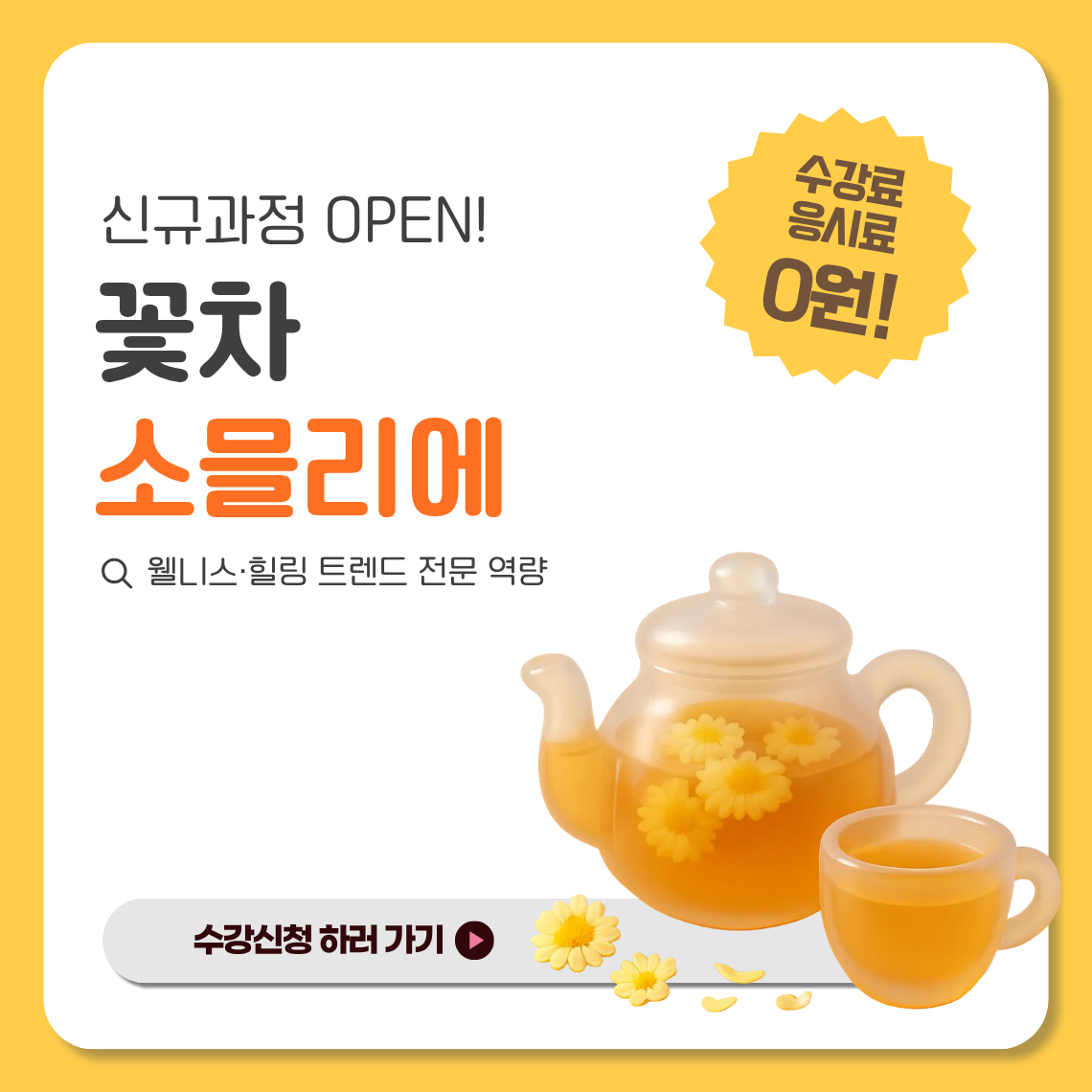 팝업 이미지